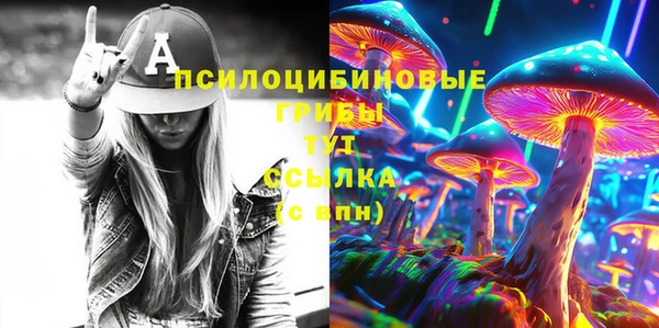 гидропоника Инта