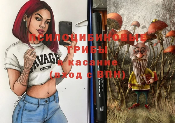 стаф Каменногорск
