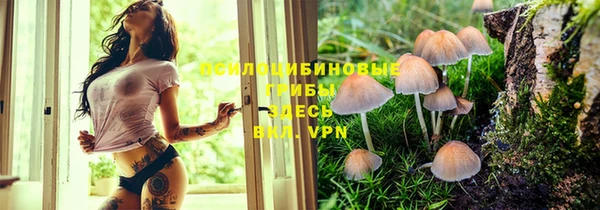 гидропоника Инта