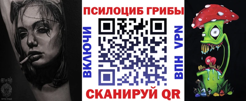 сколько стоит Котельники Псилоцибиновые грибы Magic Shrooms