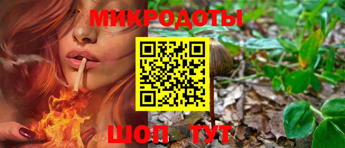 Котельники  Галлюциногенные грибы Psilocybe  Вход с VPN 