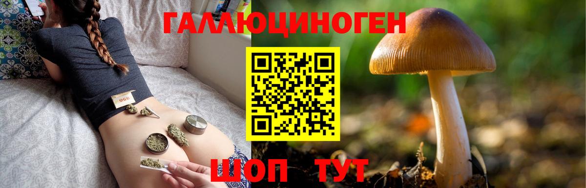 Галлюциногенные грибы ЛСД Котельники